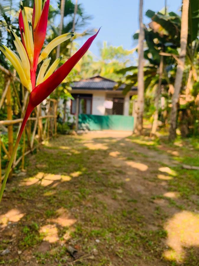 White Heaven Villa Unawatuna Exterior foto